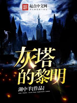 灰塔的黎明小说全文免费阅读无弹窗