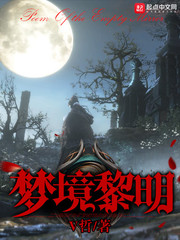 梦境黎明txt小说免费阅读全文