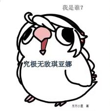 我是谁?究极无敌琪亚娜!