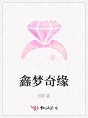 鑫梦启电子商贸有限公司