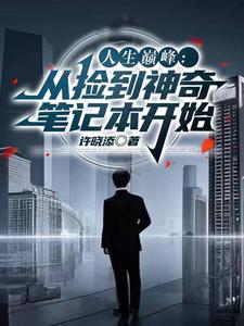 小说人生巅峰全靠捡