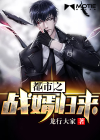 《都市战婿归来》