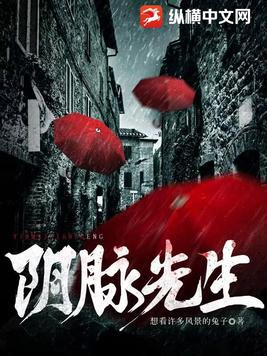 阴脉先生百度网盘