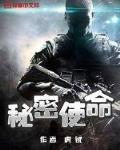 小说秘密使命后续