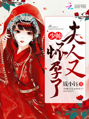 夫人又怀孕了小说